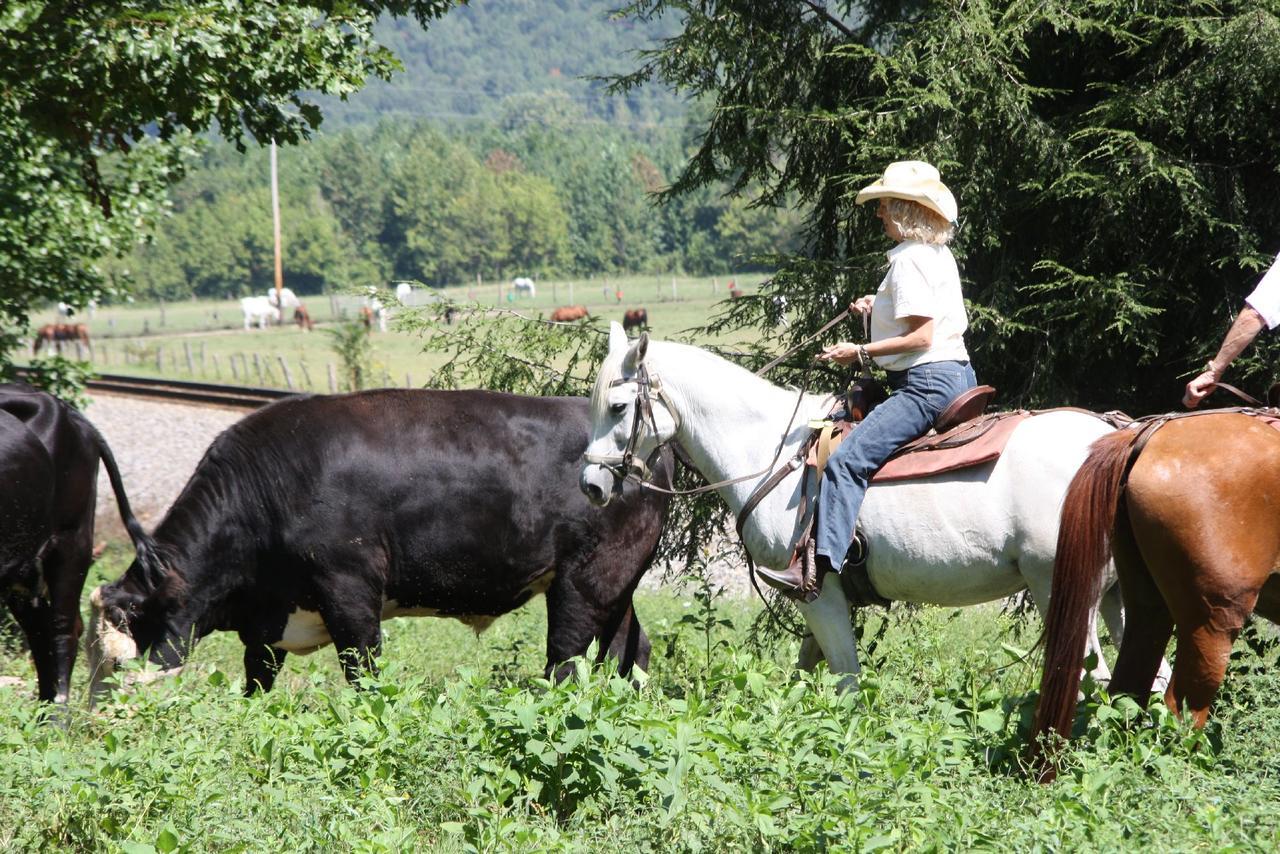 French Broad Outpost Ranch Hotell Del Rio Exteriör bild