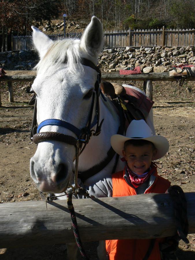French Broad Outpost Ranch Hotell Del Rio Exteriör bild